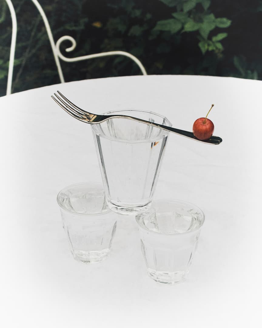 "DOMESTICA" TROPIK TROPIK MAG